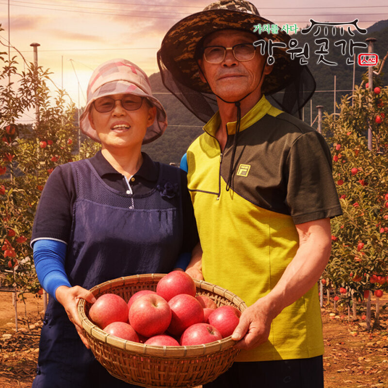 정선 백석폭포 맛성비 햇 사과(홍로,아리수,후브락스 부사) - 강원곳간.com