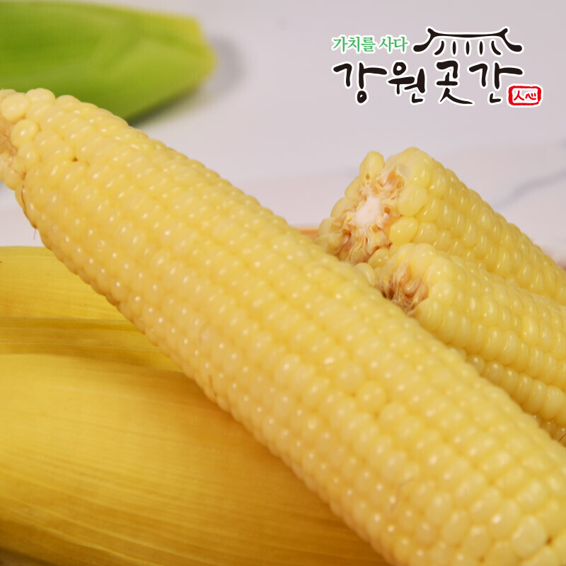[영월] 강원도 영월 생 미백 찰옥수수 20개입 - 강원곳간.com